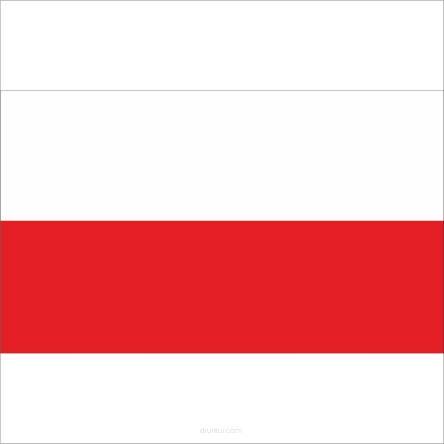 Flaga Polski naklejka naklejki 5 szt 7x4 cm dla kibica