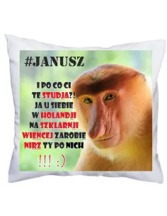 Poduszka Śmieszna Zabawna Poduszka Prezent Janusz Studia