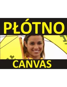 Płótno Canvas Druk Płótnie Malarskim Artystyczn Wydruki