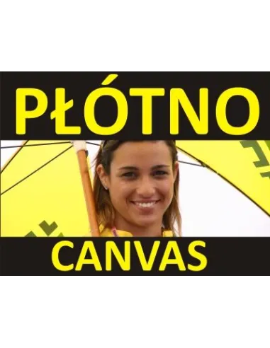 Płótno Canvas Druk Płótnie Malarskim Artystyczn Wydruki