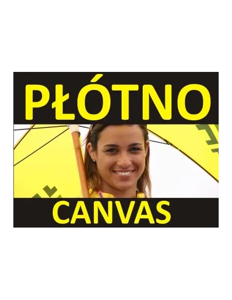 Płótno Canvas Druk Płótnie Malarskim Artystyczn Wydruki