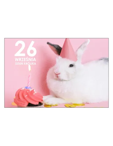 Magnesy na Lodówkę – 26 Września Dzień Królika Reklamowy