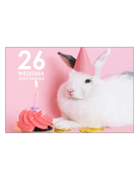 Magnesy na Lodówkę – 26 Września Dzień Królika Reklamowy