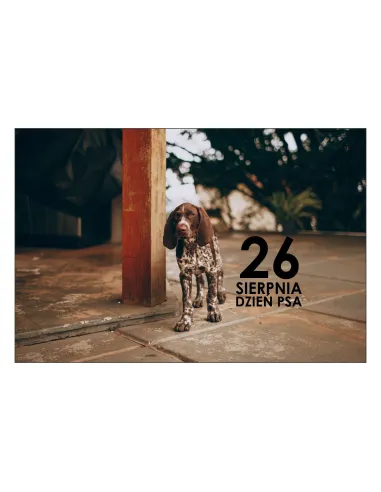 Magnesy na Lodówkę 26 Sierpnia Dzień Psa Personalizowany
