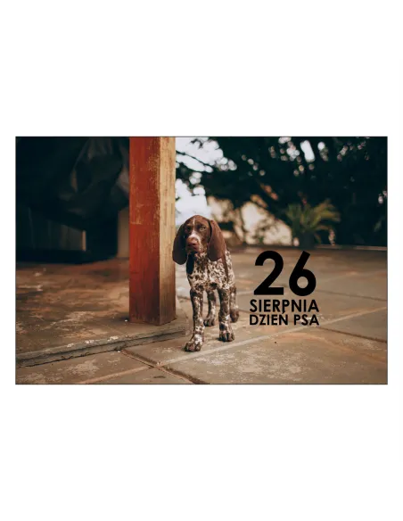 Magnesy na Lodówkę 26 Sierpnia Dzień Psa Personalizowany