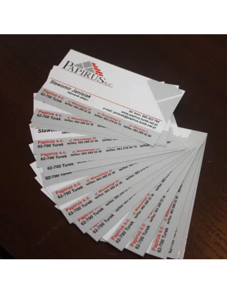 Wizytówki 100 Szt. 48h Szybki Druk Express z Nadrukiem