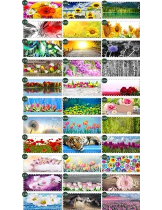 Osłona Balkonowa na Balkon Siatkę Kwiaty Surfinie Mata