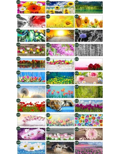 Osłona Balkonowa na Balkon Siatkę Kwiaty Surfinie Mata