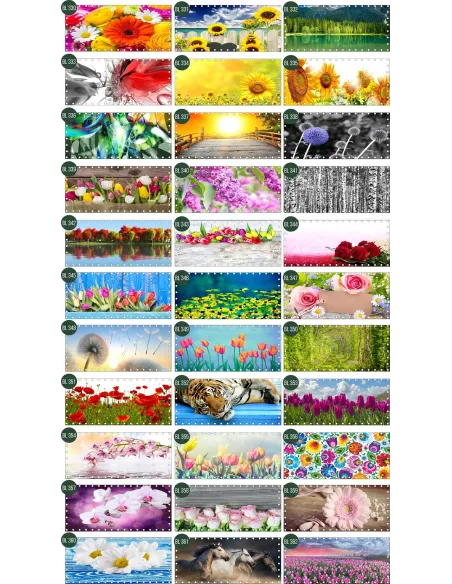 Osłona Balkonowa na Balkon Siatkę Kwiaty Surfinie Mata