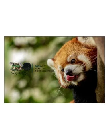 Magnesy na Lodówkę – Zoo Zoobacz Pokochaj Pomóż Ochronić