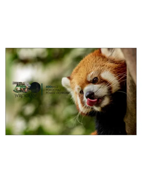 Magnesy na Lodówkę – Zoo Zoobacz Pokochaj Pomóż Ochronić