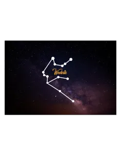 Magnesy na Lodówkę Znaki Zodiaku Wodnik Personalizowany