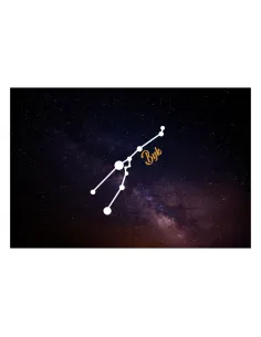 Magnesy na Lodówkę – Znaki Zodiaku Byk Personalizowany