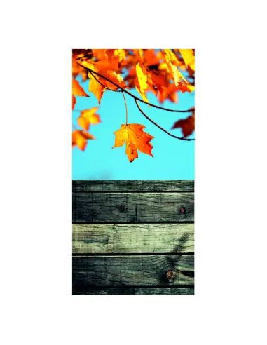 Tło Fotograficzne Jesień Liście Drzewa 150x300 Vinylowe
