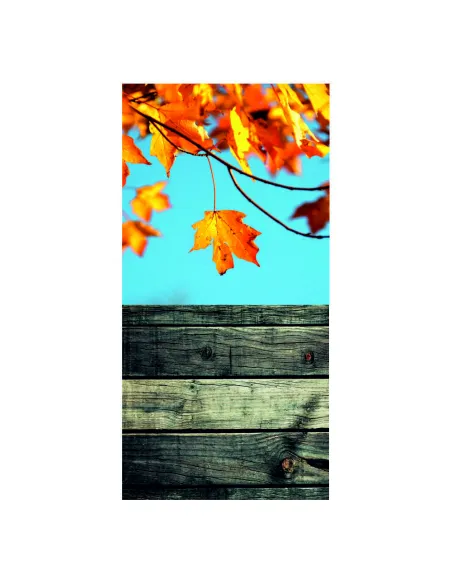Tło Fotograficzne Jesień Liście Drzewa 150x300 Vinylowe
