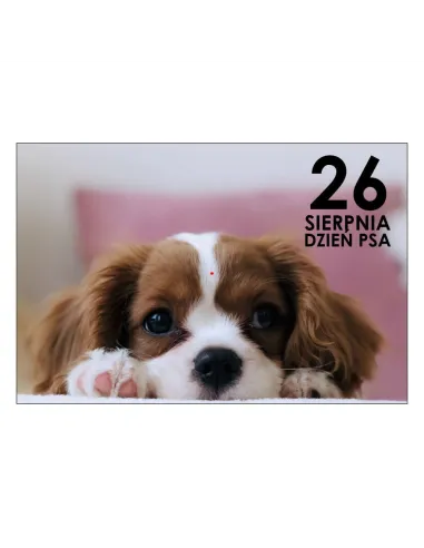 Magnesy na Lodówkę Sierpnia Dzień Psa Personalizowany