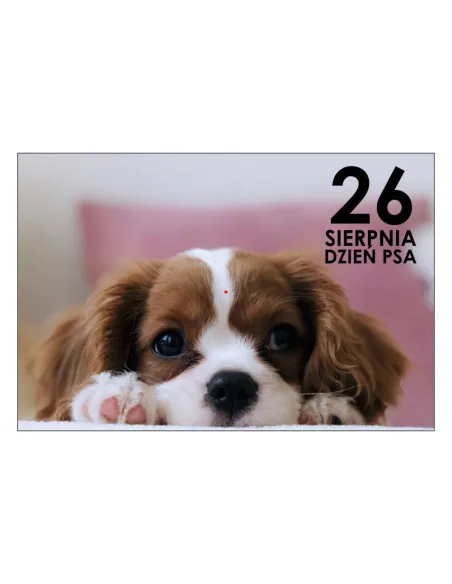 Magnesy na Lodówkę Sierpnia Dzień Psa Personalizowany