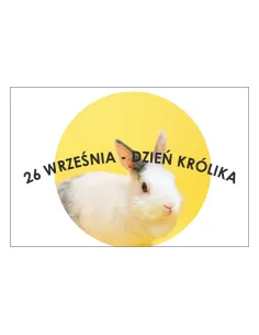 Magnesy na Lodówkę 26 Września Dzień Królika Personalizowany