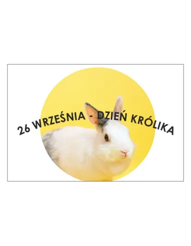 Magnesy na Lodówkę 26 Września Dzień Królika Personalizowany