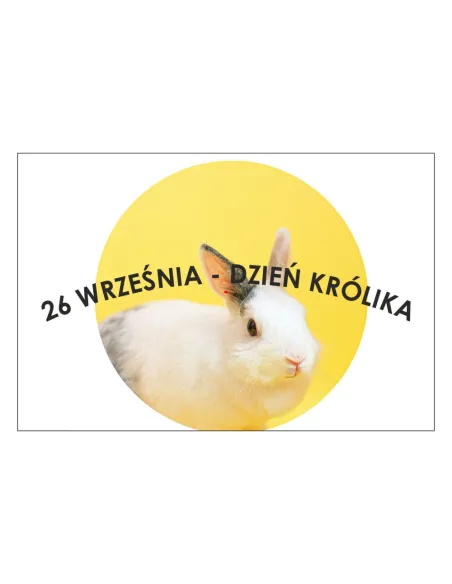 Magnesy na Lodówkę 26 Września Dzień Królika Personalizowany