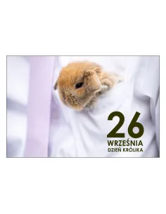Magnesy na Lodówkę – 26 Września Dzień Królika Pamiątkowe