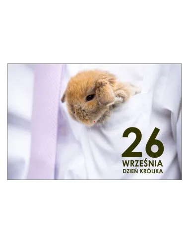 Magnesy na Lodówkę – 26 Września Dzień Królika Pamiątkowe