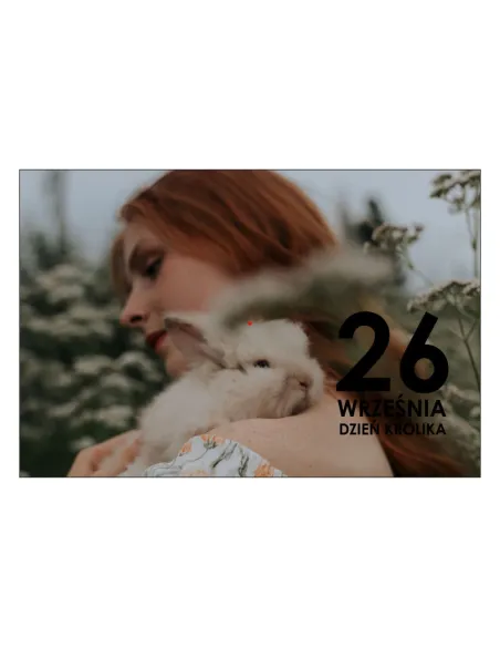Magnesy na Lodówkę 26 Września Dzień Królika Kolekcjonerskie