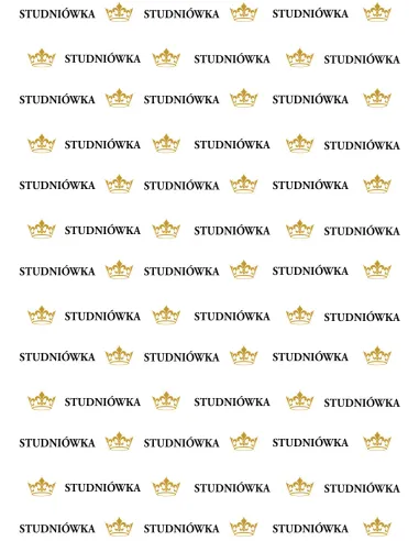 Tło Fotograficzne Ścianka Personalizowany Zdjęć Studniówka