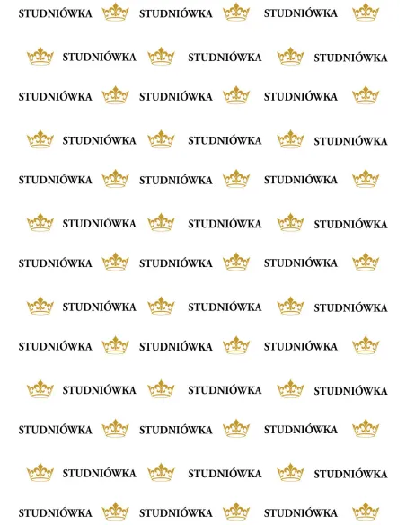 Tło Fotograficzne Ścianka Personalizowany Zdjęć Studniówka