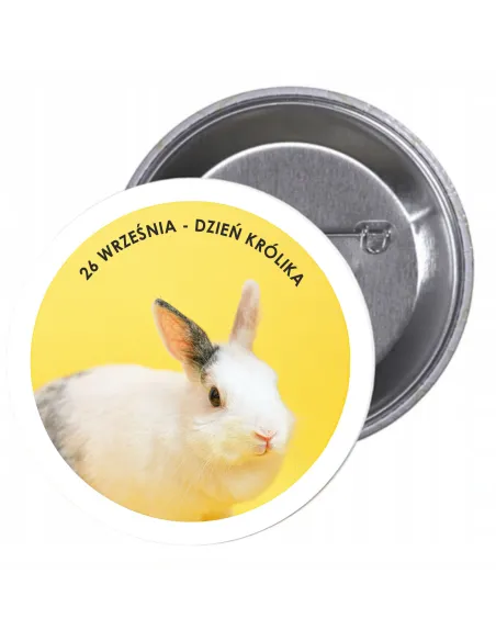 Przypinki Buttony – Dzień Królika Znaczki Badziki Grafiką