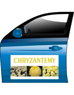 Magnes Chryzantema Creamist Reklamy Personalizowany