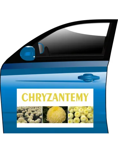 Magnes Chryzantema Creamist Reklamy Personalizowany