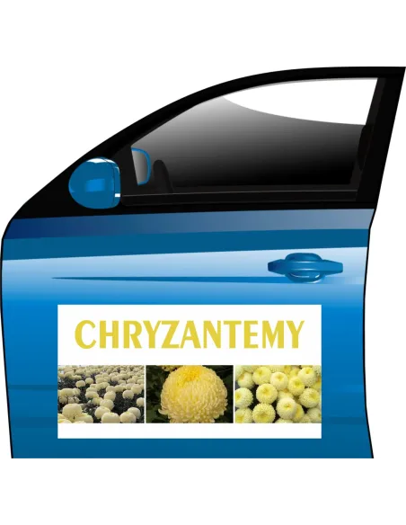 Magnes Chryzantema Creamist Reklamy Personalizowany