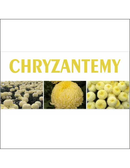 Baner z Nadrukiem Reklamowy Płot Chryzantemy Creamist