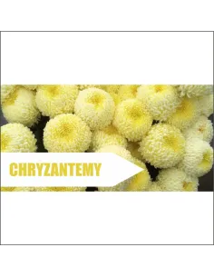 Baner z Nadrukiem Reklamowy 200x100 cm Reklama Plandeka