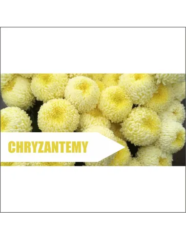 Baner z Nadrukiem Reklamowy 200x100 cm Reklama Plandeka