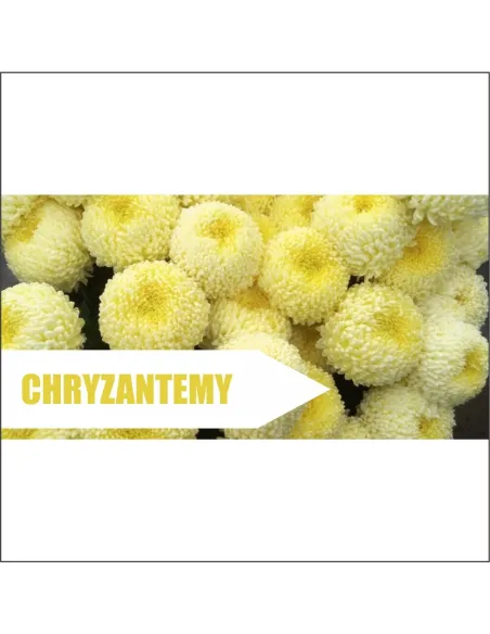 Baner z Nadrukiem Reklamowy 200x100 cm Reklama Plandeka