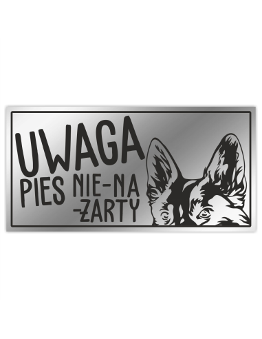 Tabliczka Zły Pies Personalizowana Ostrzegawcza Nierdzewna