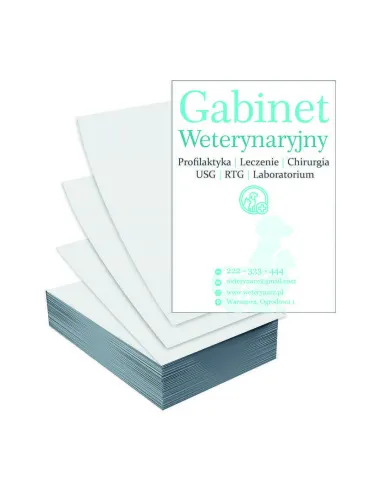 Ulotki A5 1000 szt Reklamowy Reklamowe Firmowe Duży