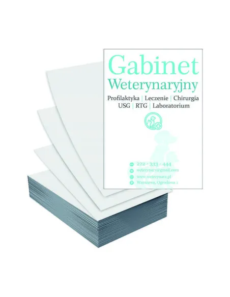 Ulotki A5 1000 szt Reklamowy Reklamowe Firmowe Duży