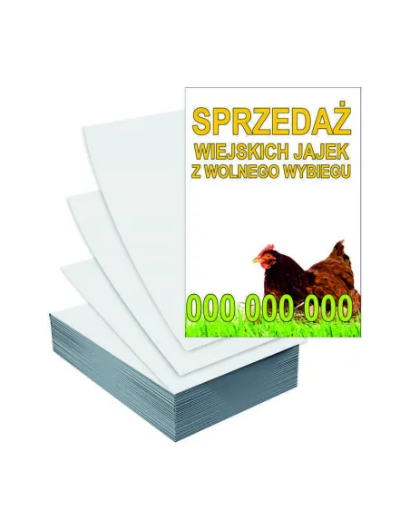 Ulotki A5 5000szt Reklamowe Firmowe Różne Wzory Jaja