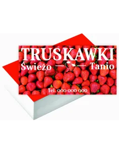 Wizytówki Firmowe 100 szt Duży Wybór Wzorów Projekt Gratis