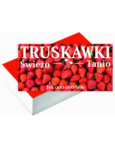 Wizytówki Firmowe 100 szt Duży Wybór Wzorów Projekt Gratis