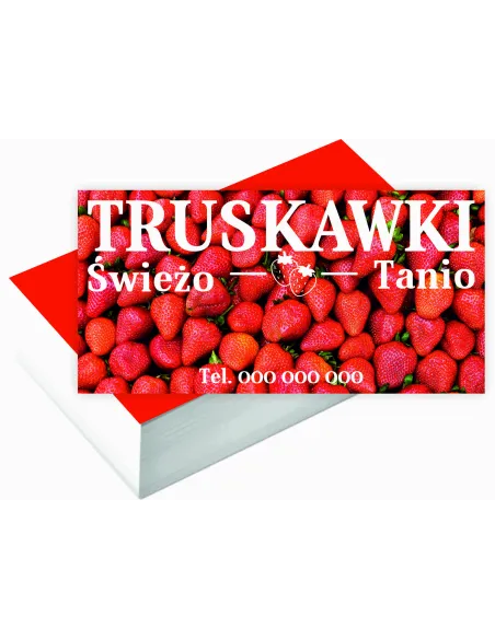 Wizytówki Firmowe 100 szt Duży Wybór Wzorów Projekt Gratis