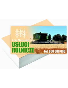 Wizytówki Firmowe 1000 szt Duży Wybór Wzorów Projekt