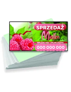 Wizytówki Firmowe Reklamowe 100szt Różne Wzory Sprzedaż