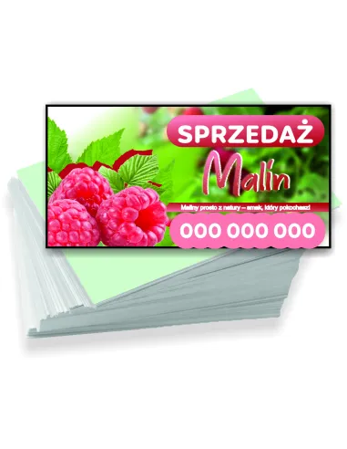Wizytówki Firmowe Reklamowe 100szt Różne Wzory Sprzedaż
