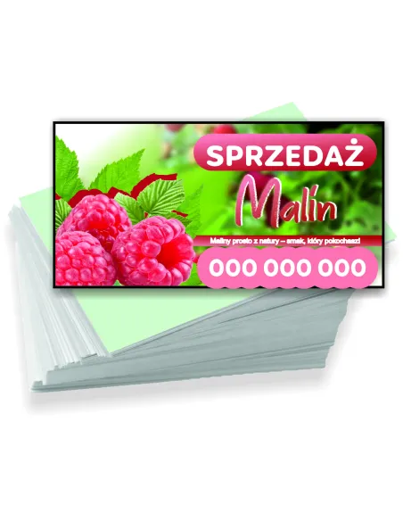 Wizytówki Firmowe Reklamowe 100szt Różne Wzory Sprzedaż