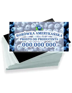 Wizytówki Firmowe Reklamowe 1000szt Różne Wzory Borówka