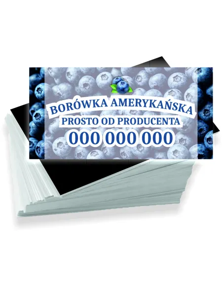 Wizytówki Firmowe Reklamowe 1000szt Różne Wzory Borówka